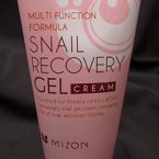 Mizon Snail Recovery Gel Cream