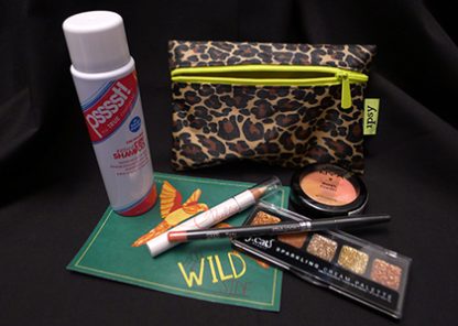 June 2013 Ipsy Glam Bag